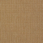 Remnant of Momentum Graph Cork Upholstery Fabric