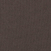 Fabric Remnant of Hue Char