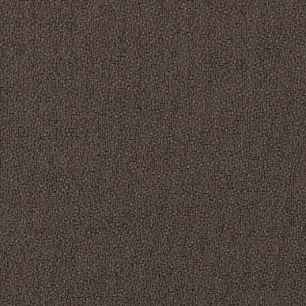 Fabric Remnant of Hue Char
