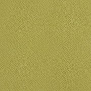 Momentum Textiles Upholstery Fabric Remnant Silica Leather Aloe