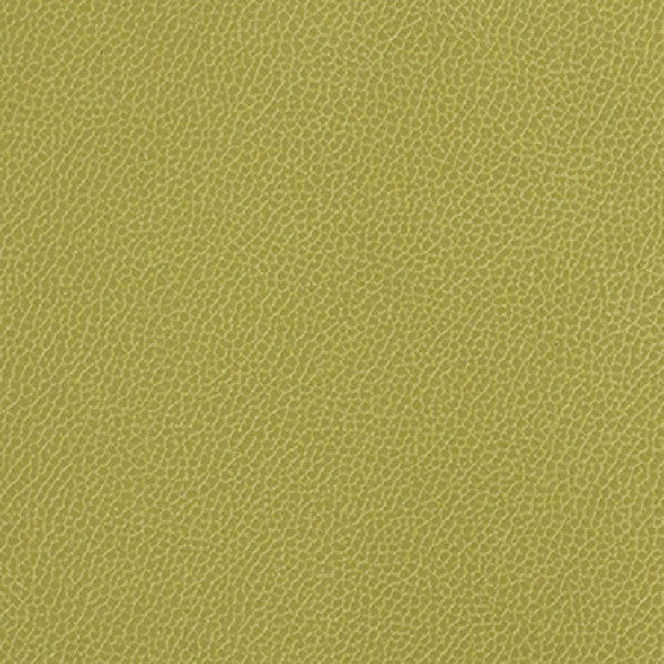 Momentum Textiles Upholstery Fabric Remnant Silica Leather Aloe