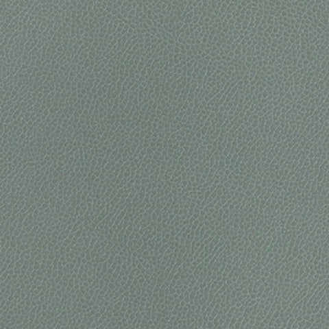 Momentum Textiles Upholstery Fabric Remnant Silica Leather Chambray