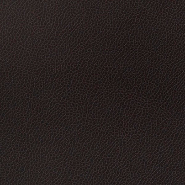 Remnant of Momentum Silica Leather Eclipse Black Upholstery Vinyl