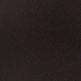 Remnant of Momentum Silica Leather Eclipse Black Upholstery Vinyl