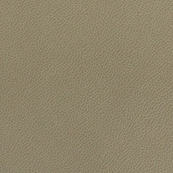 Momentum Textiles Upholstery Fabric Remnant Silica Leather Lichen