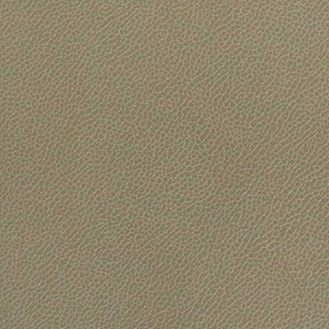 Momentum Textiles Upholstery Fabric Remnant Silica Leather Lichen