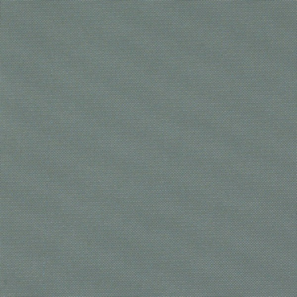 Fabric Remnant of Momentum Silica Tech Mineralize