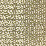 Momentum Sketching Air Alpine Criss Cross Design Green Upholstery Fabric