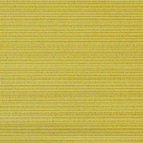 Momentum Textiles Upholstery Fabric Remnant Skip Keylime
