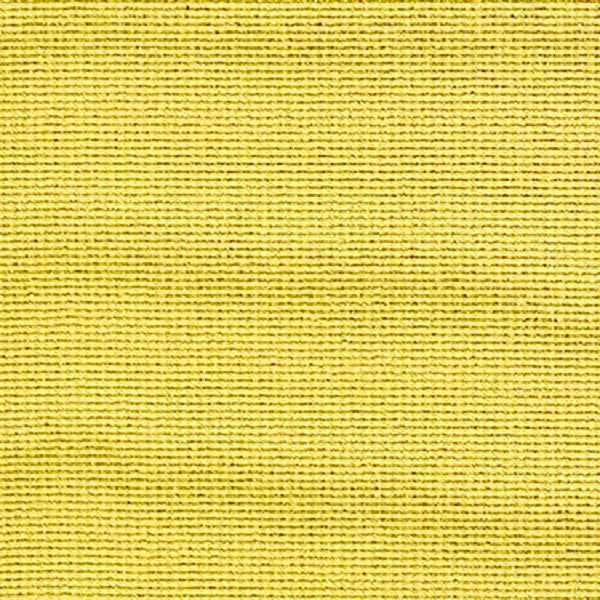 Remnant of Loupe Meadow Upholstery Fabric