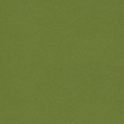 Remnant of Nifty Par Upholstery Fabric