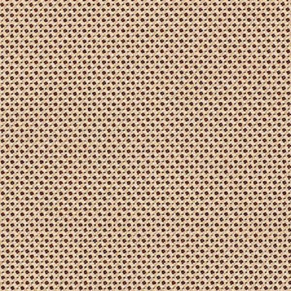 Fabric Remnant of Odyssey Craft