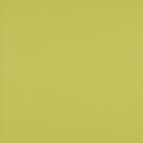 Fabric Remnant of Designtex Sorano Chervil Green Upholstery Vinyl
