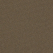 Remnant of Momentum Origin Twine Upholstery Fabric