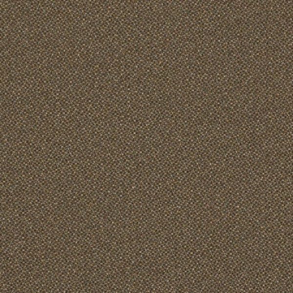 Remnant of Momentum Origin Twine Upholstery Fabric