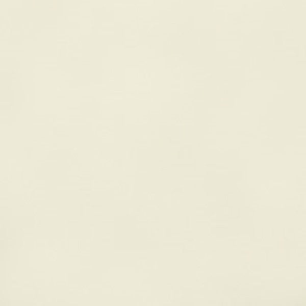 Arc-Com Fabrics Upholstery Fabric Remnant Spectrum Ivory