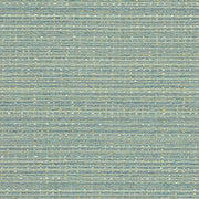 Momentum Pursue Pool Upholstery Fabric