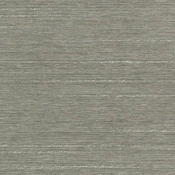 Remnant of Momentum Rubato Silver Upholstery Fabric