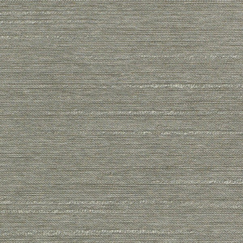 Remnant of Momentum Rubato Silver Upholstery Fabric