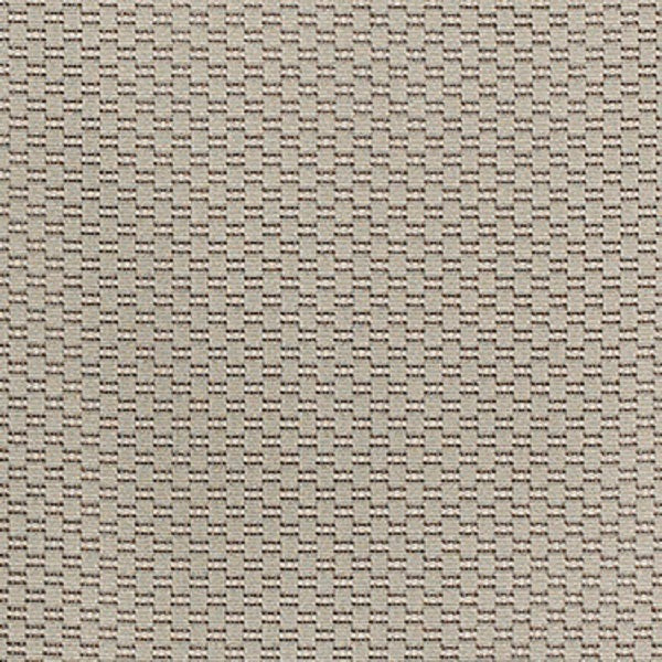 Remnant of Momentum Scrabble Ash Upholstery Fabric