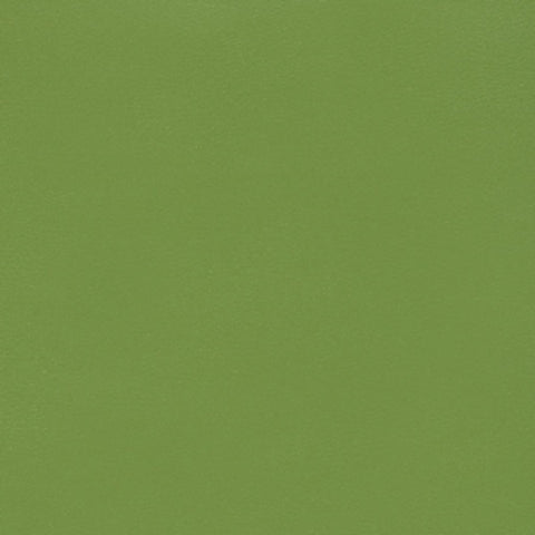 Momentum Silica Go Green Upholstery Vinyl