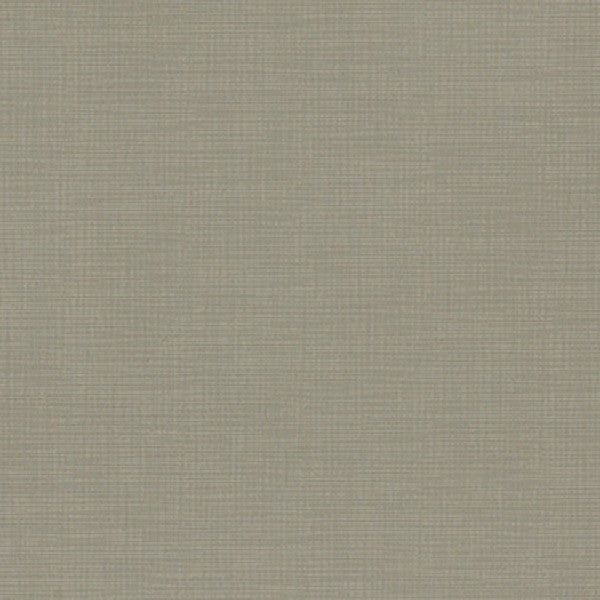 Remnant of Momentum Silica Etch Wetstone Grey Upholstery Fabric
