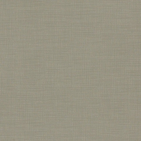 Remnant of Momentum Silica Etch Wetstone Grey Upholstery Fabric