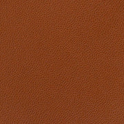 Remnant of Momentum Silica Leather Rustic Upholstery Vinyl