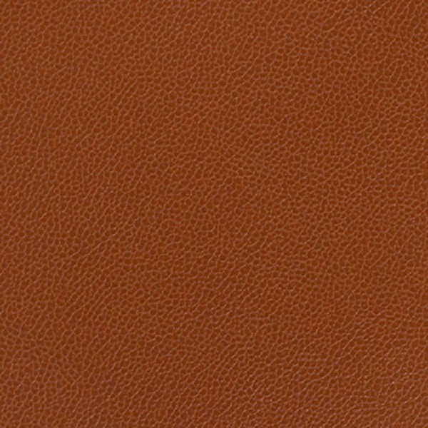 Remnant of Momentum Silica Leather Rustic Upholstery Vinyl