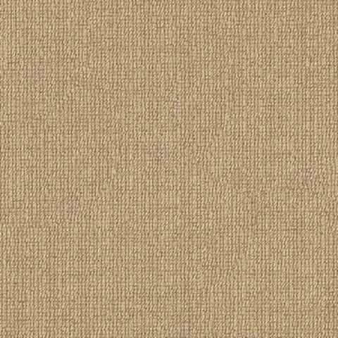 Fabric Remnant of Momentum Textiles Solace Fossil
