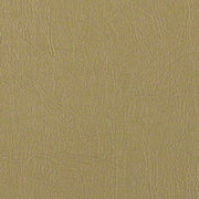 CF Stinson Sterling Green Tea Upholstery Fabric