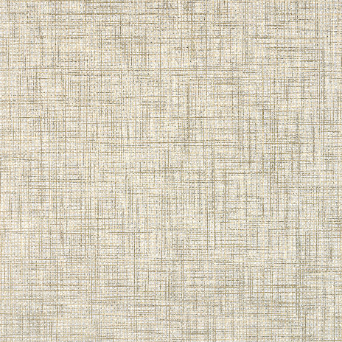 Fabric Remnant of Raffia Flick