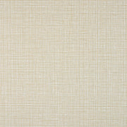 Fabric Remnant of Raffia Flick