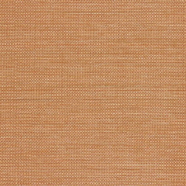 Designtex Fabrics Upholstery Fabric Remnant Strand Pumpkin