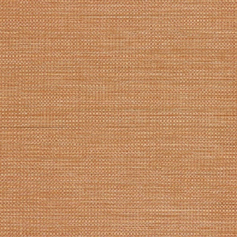 Designtex Fabrics Upholstery Fabric Remnant Strand Pumpkin