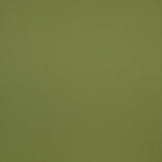 Maharam Fabrics Upholstery Fabric Remnant Sudden Lush