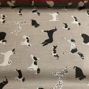 Sunbrella Fetch Bone 145414-0001 Outdoor Upholstery Fabric