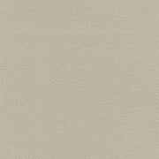 Ultraleather Fabric Remnant of Ultraleather Toscana White Sand