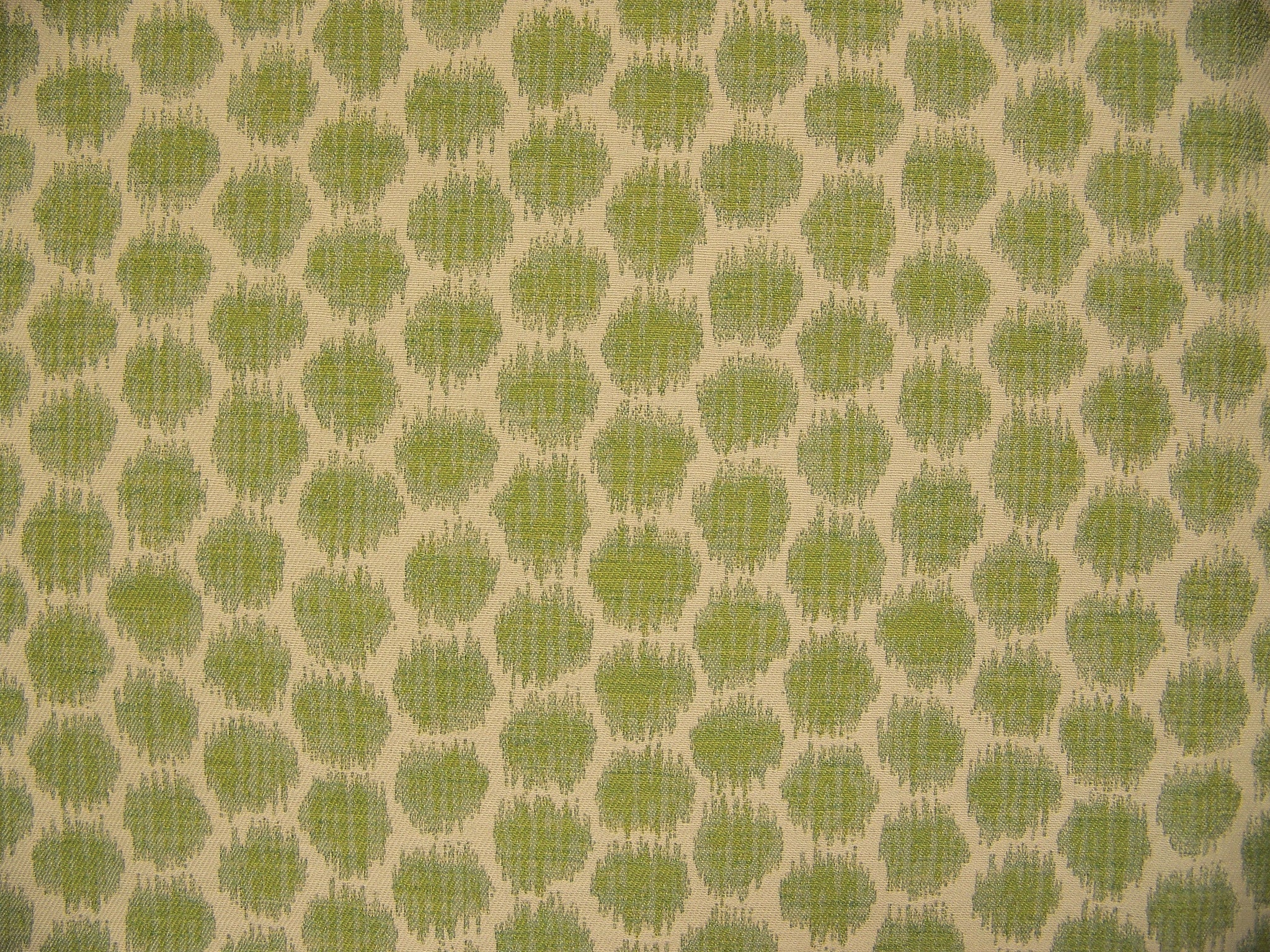 Fabric Remnant of A Pois Moss