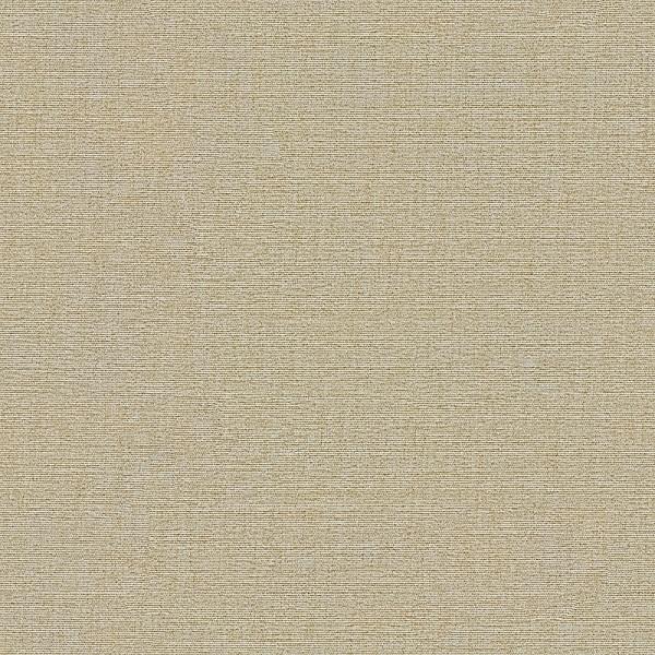 Carnegie Upholstery Allure Color 10 Toto Fabrics Online