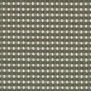 Designtex Fabrics Upholstery Appleseed Graphite Toto Fabrics Online
