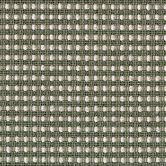Designtex Fabrics Upholstery Appleseed Graphite Toto Fabrics Online