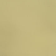Remnant of Arioso Biscotti Tan Upholstery Fabric