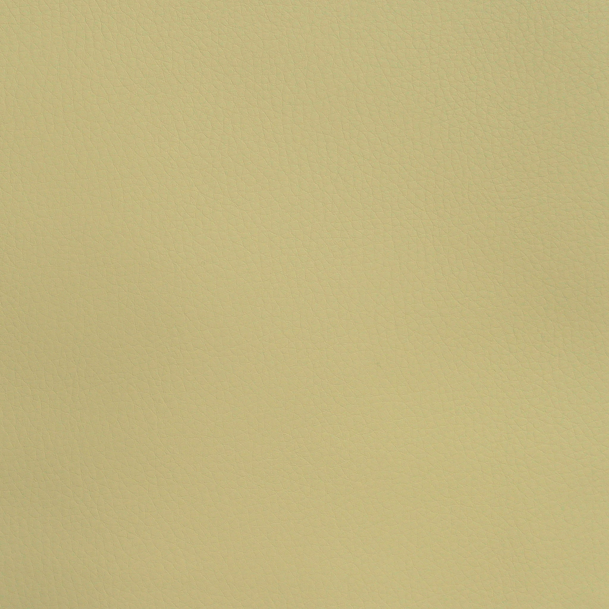 Remnant of Arioso Biscotti Tan Upholstery Fabric
