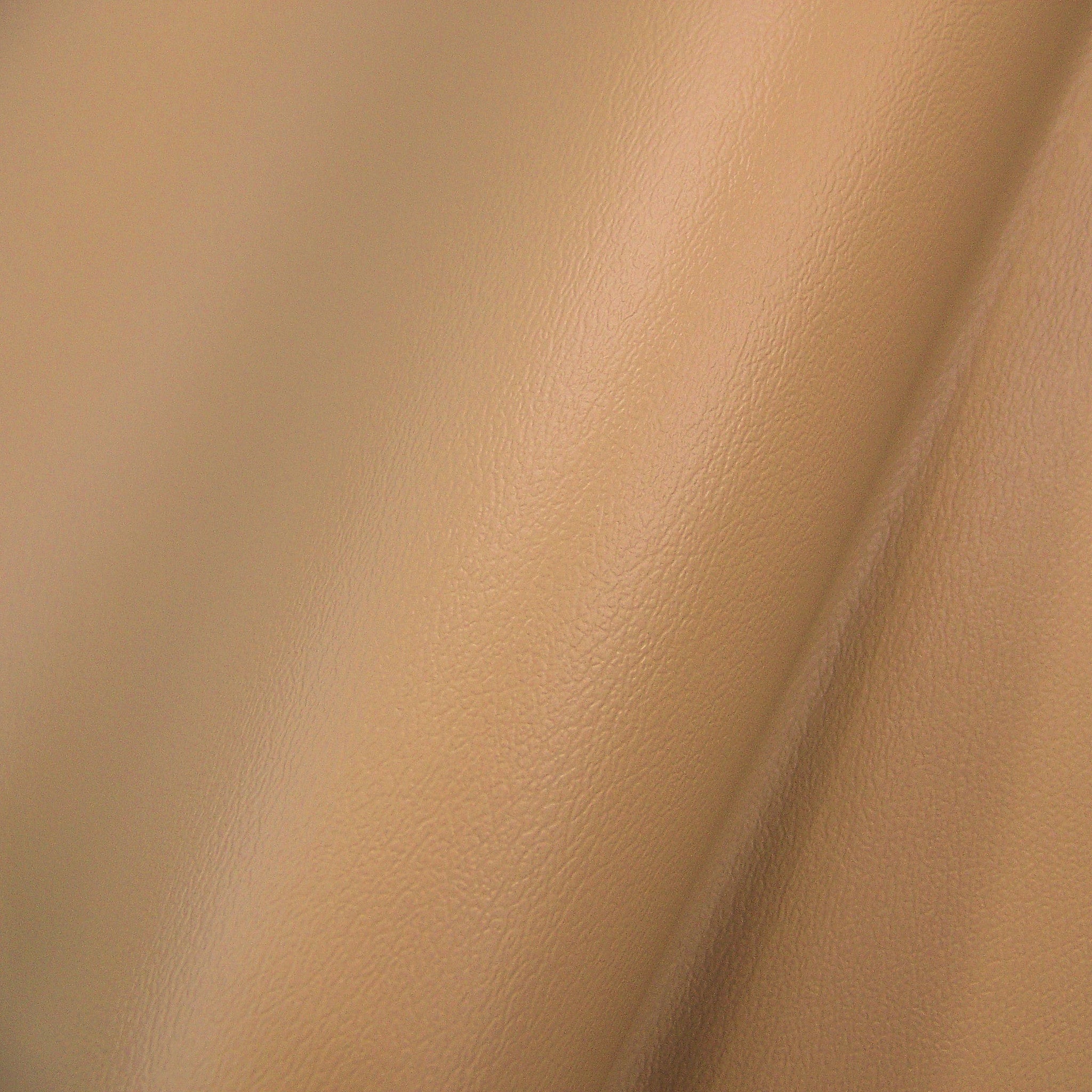 Fabric Remnant of Avant Bisque