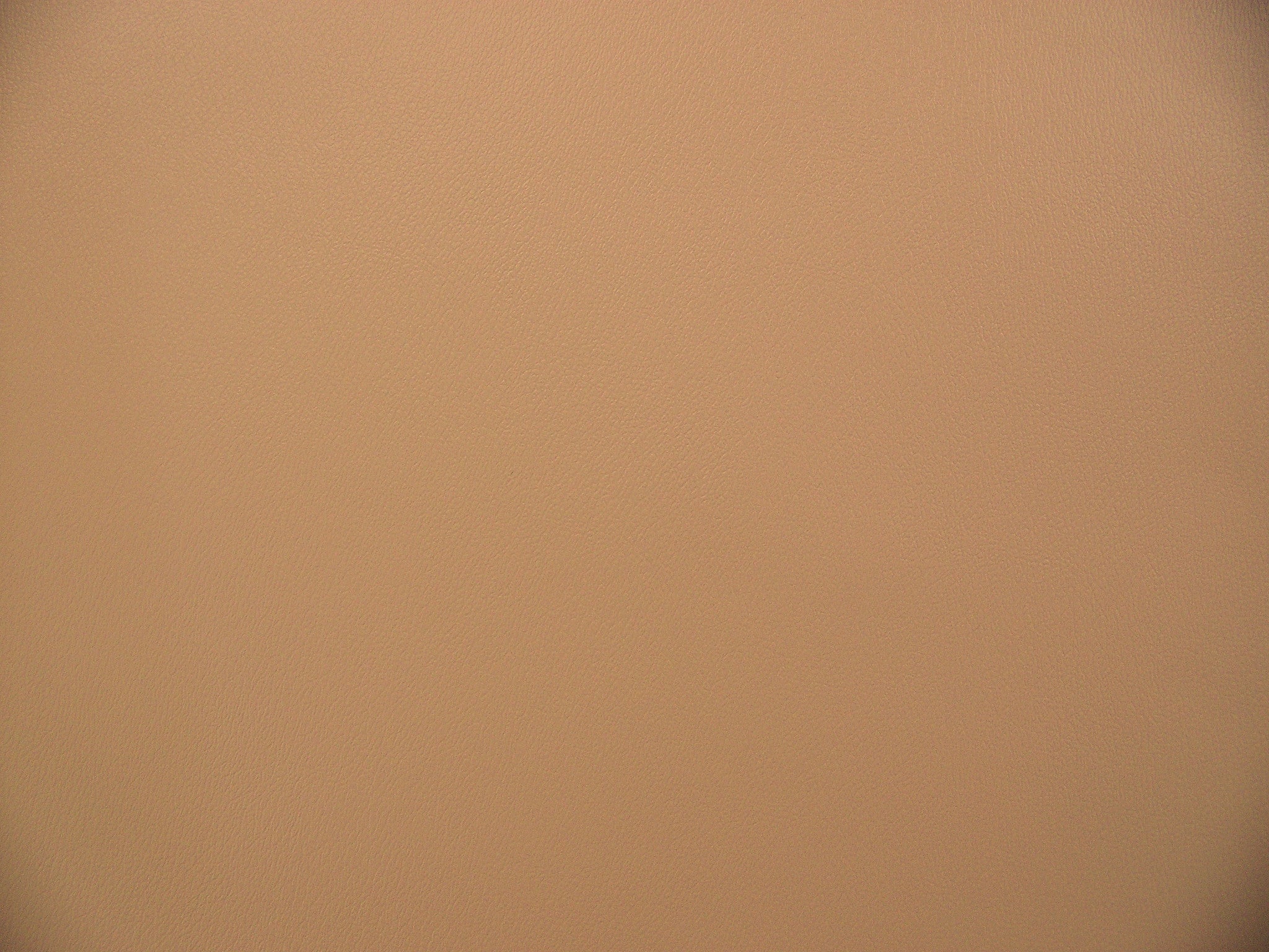 Fabric Remnant of Avant Bisque