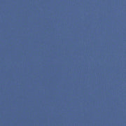 CF Stinson Upholstery Fabric Remnant Avant Sky Blue