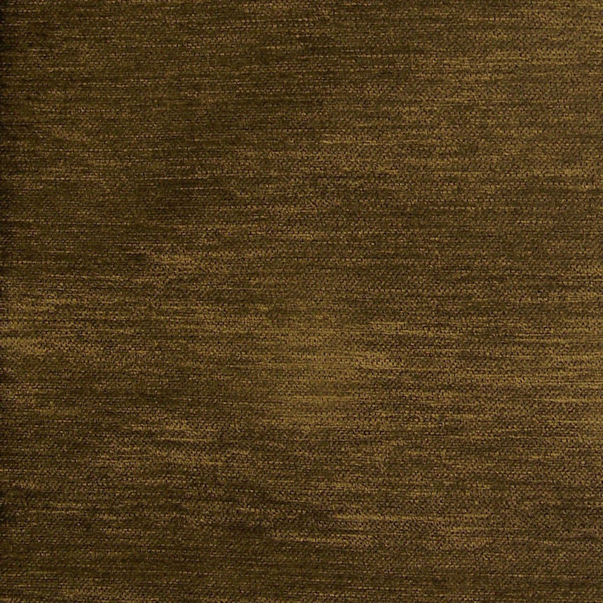 Carnegie Bliss Color 13 Brown Upholstery Fabric