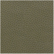 Momentum Textiles Fabric Remnant of Bravo II Willow