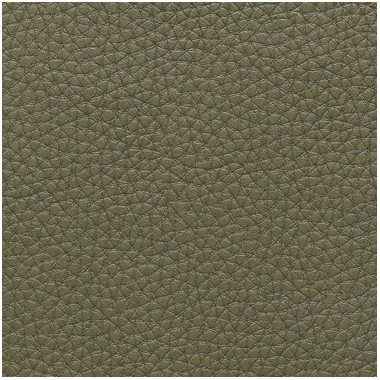 Momentum Textiles Fabric Remnant of Bravo II Willow